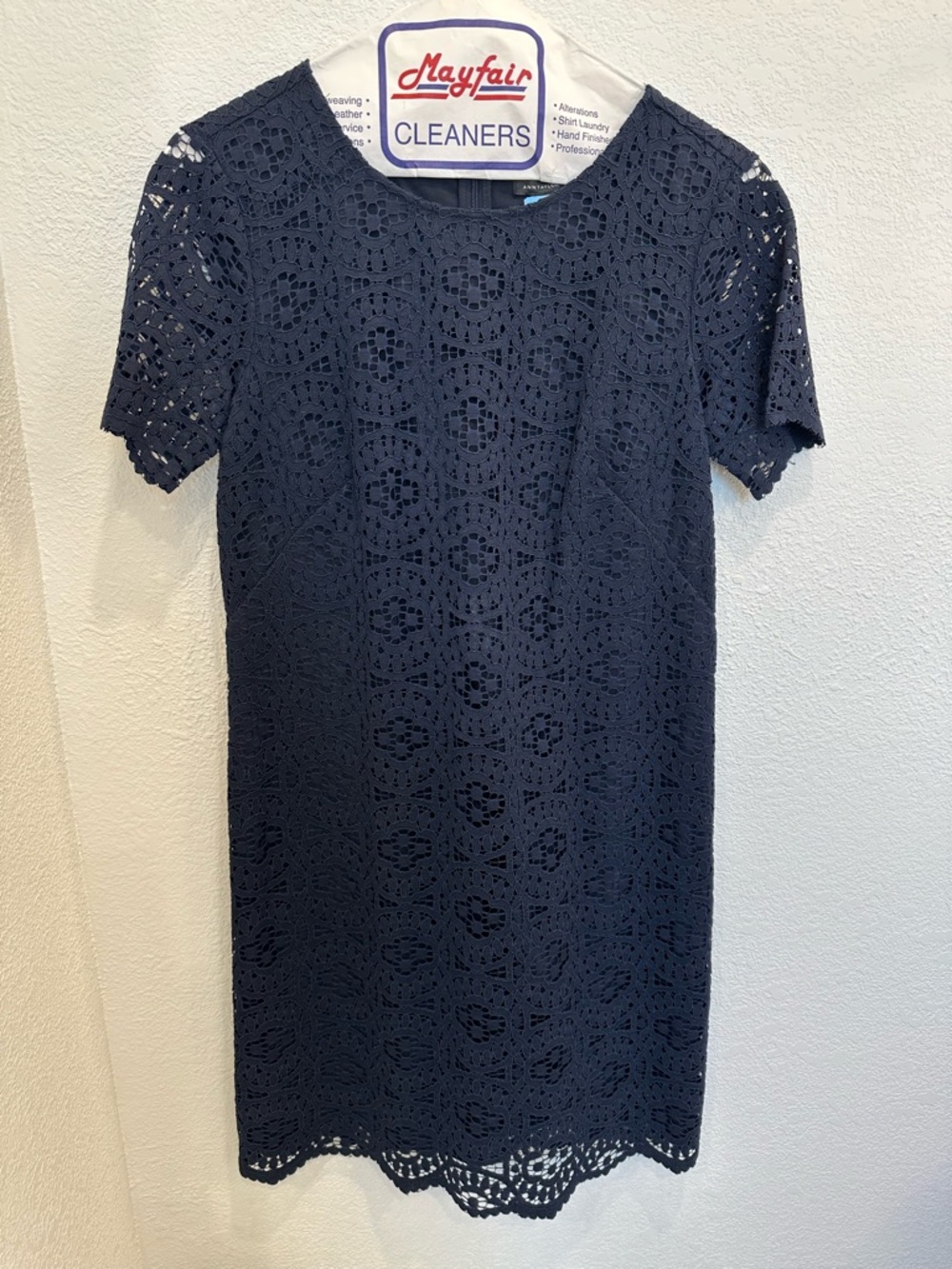 Ann Taylor Navy Lace Short Sleeve Shift Dress